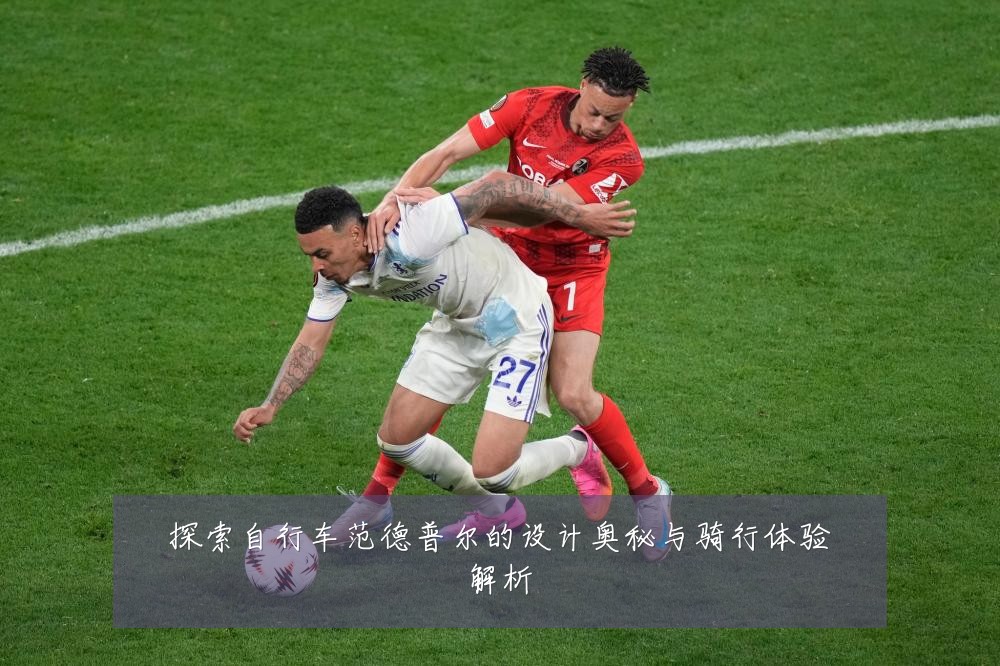探索自行车范德普尔的设计奥秘与骑行体验解析